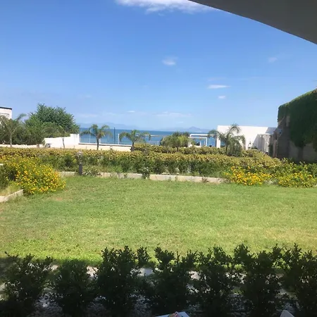 Bed and Breakfast Le Palme Προτσίντα