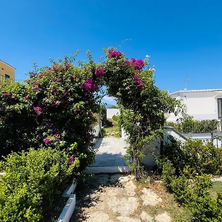 Bed and Breakfast Le Palme Προτσίντα