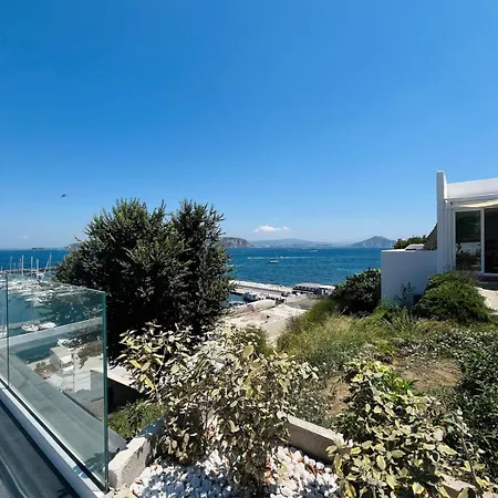 Le Palme Προτσίντα