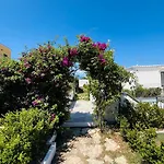 Alojamento de Acomodação e Pequeno-almoço Le Palme Procida